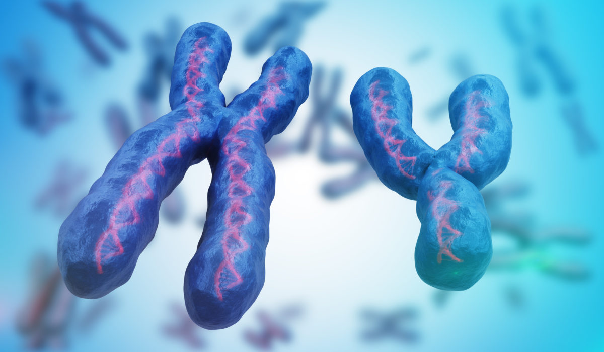 Diagnosis Of Chromosomal Abnormalities Fdna Health